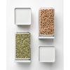 Tasty+ Square Canister 1.6 litre - Light Grey Lid