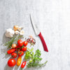 Spectrum 10cm Vegetable Knife - Red