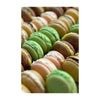 Macaron Kit - Brown