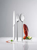 X-15 Dessert Spoon - Set of 12