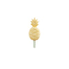 4pc Tropical Fruits Ice Cream Moulds