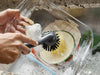 SinkTech™ 2-Piece Washing Up Brush Heads