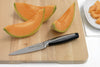 Profile Fruit/Utility Knife